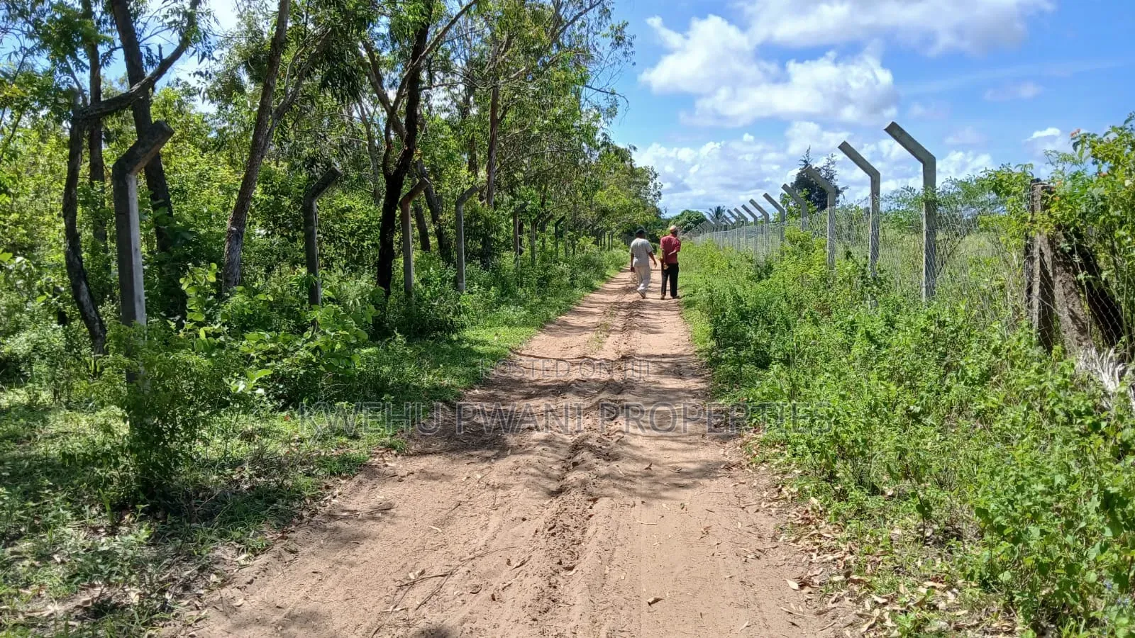 8 Acres Shimoni