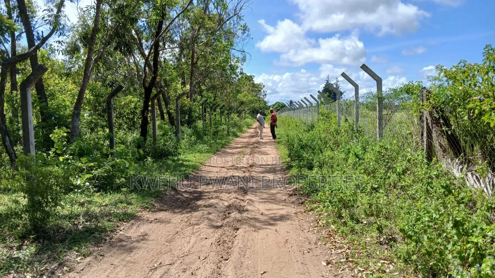 8 Acres Shimoni