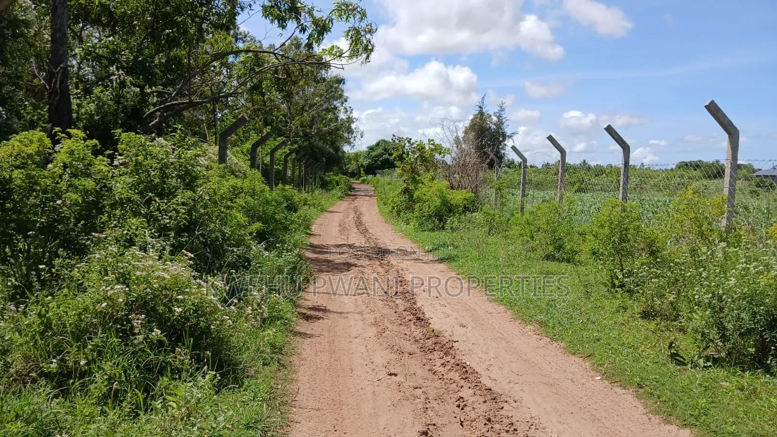 8 Acres Shimoni