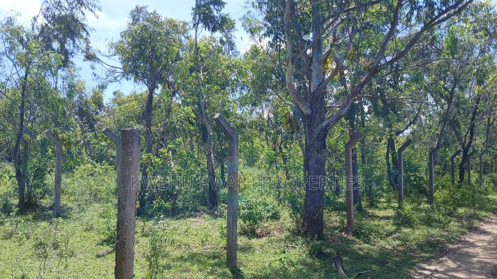 8 Acres Shimoni