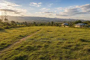 Affordable Plots for Sale at Mutaita Views, Nakuru