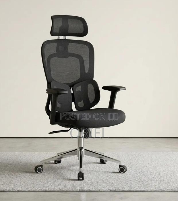 Executive Office Chair : Orthopedic Swivel Chair