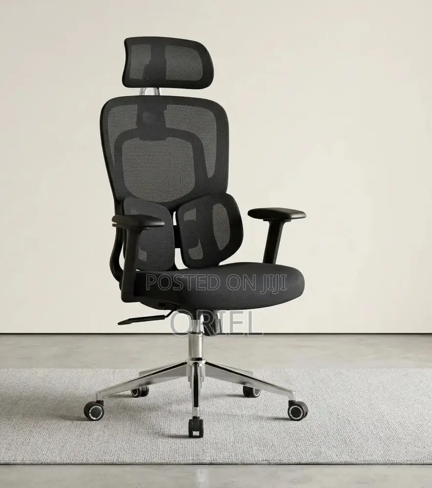 Executive Office Chair : Orthopedic Swivel Chair