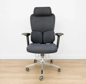 Executive Office Chair : Orthopedic Swivel Chair
