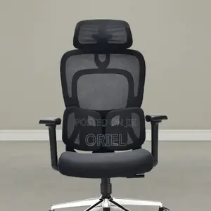 Executive Office Chair : Orthopedic Swivel Chair