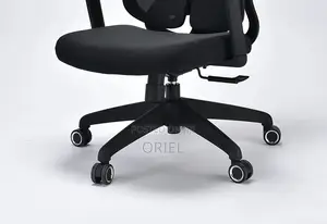 Executive Office Chair : Orthopedic Swivel Chair