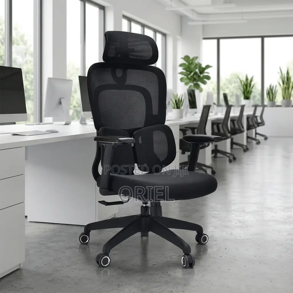 Executive Office Chair : Orthopedic Swivel Chair