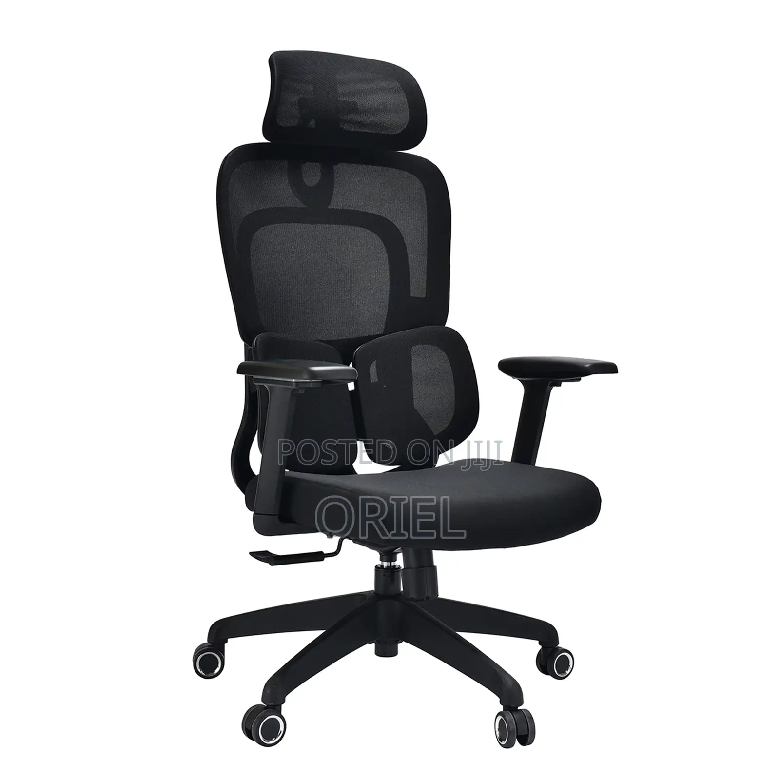Executive Office Chair : Orthopedic Swivel Chair