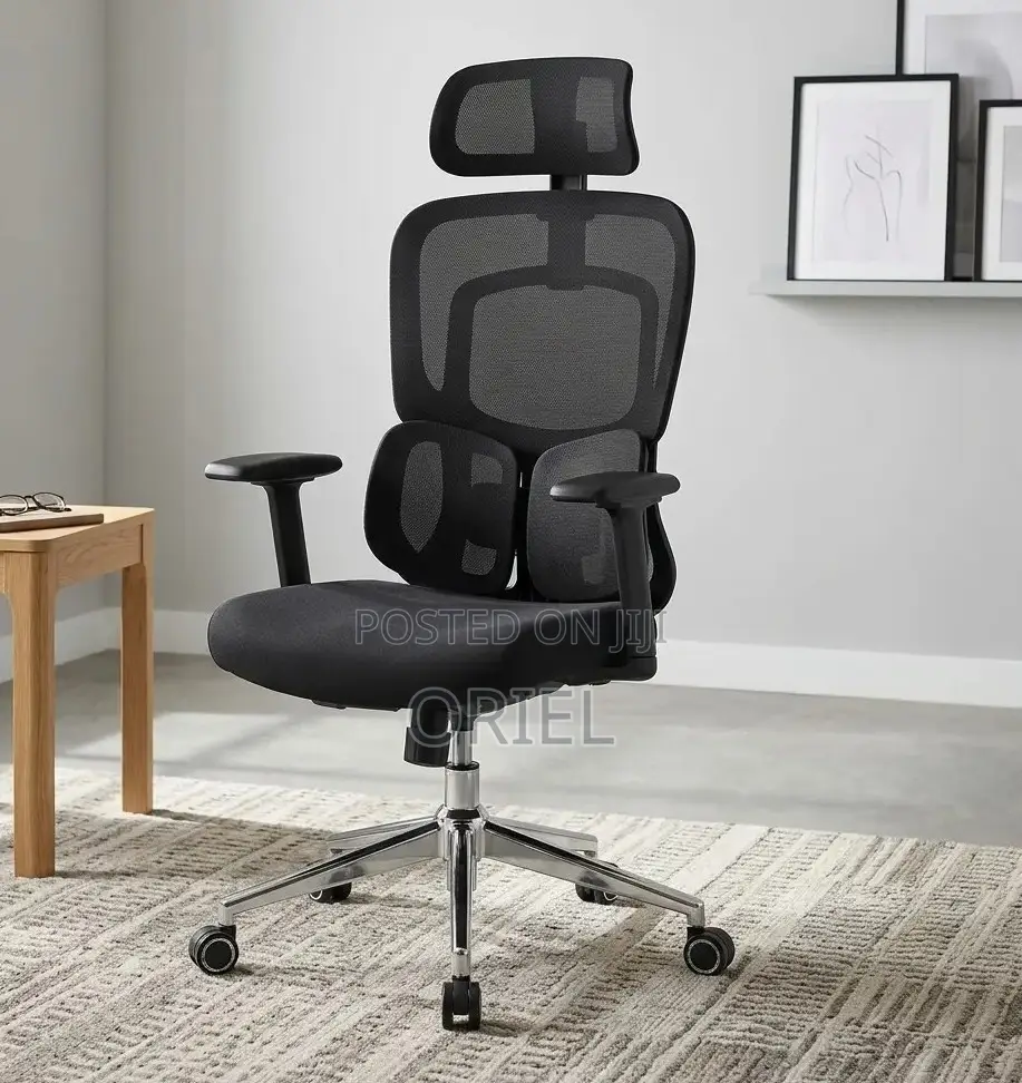 Executive Office Chair : Orthopedic Swivel Chair