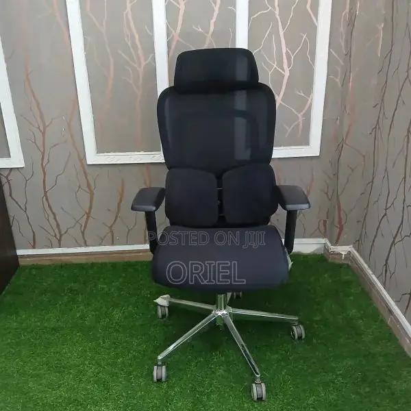Executive Office Chair : Orthopedic Swivel Chair