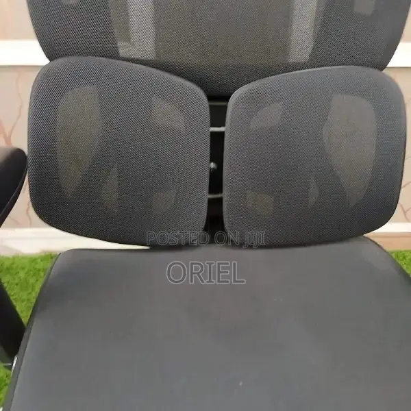 Executive Office Chair : Orthopedic Swivel Chair