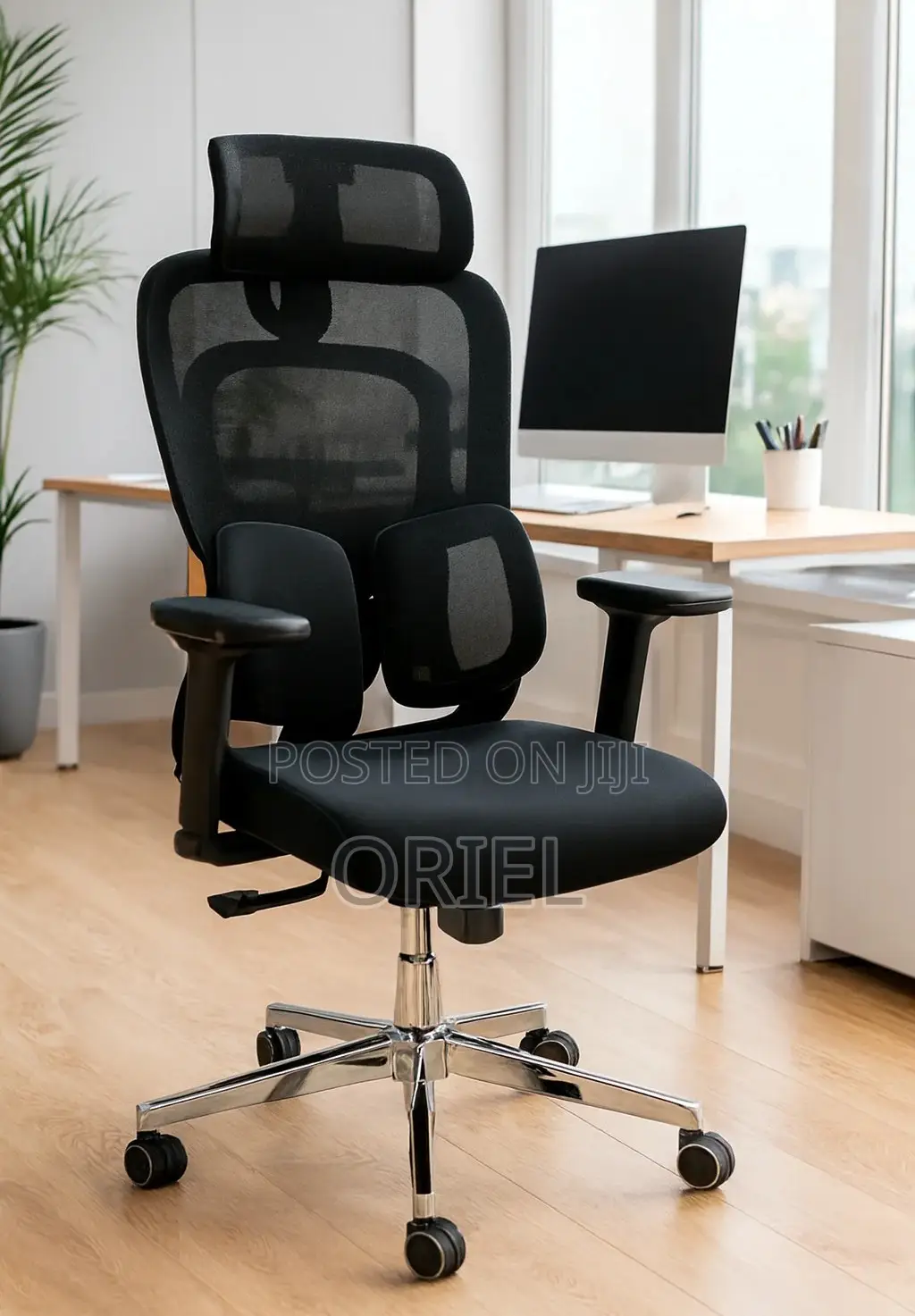 Executive Office Chair : Orthopedic Swivel Chair