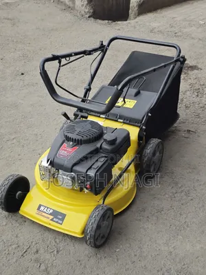 Wasp Gasoline Lawnmower
