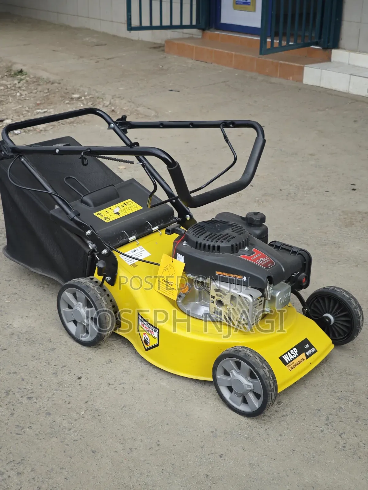 Wasp Gasoline Lawnmower