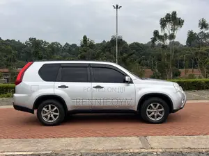 Nissan X-Trail 2.0 Petrol AWD 2014 Silver