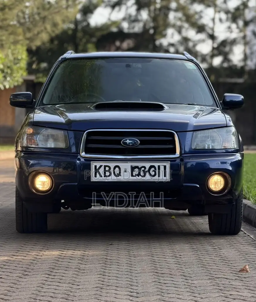 Subaru Forester 2004 Blue