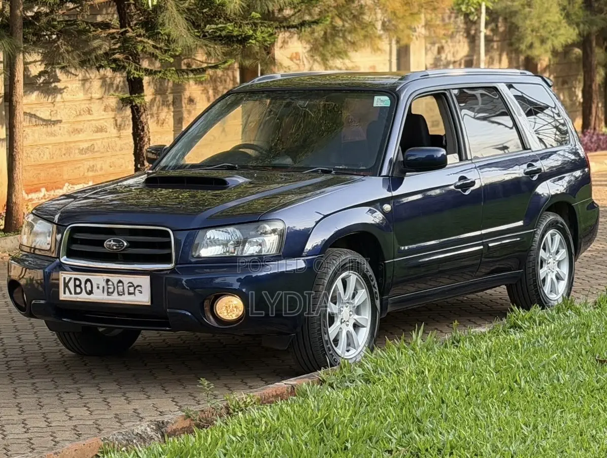 Subaru Forester 2004 Blue