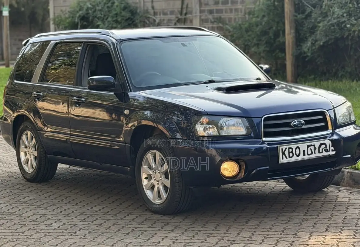 Subaru Forester 2004 Blue