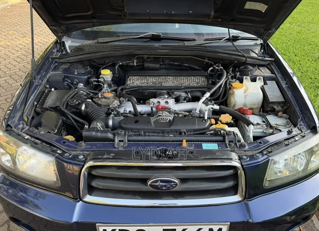 Subaru Forester 2004 Blue