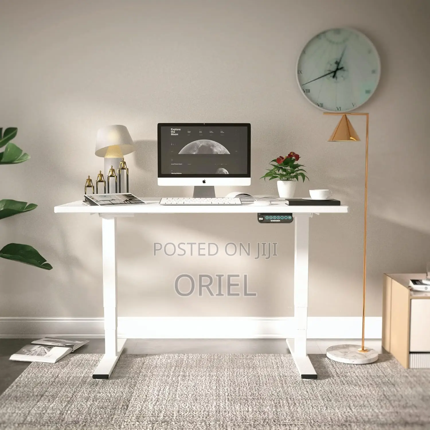 Office Desk :White 120cm Electric Height Adjustable Sit-Stand Desk