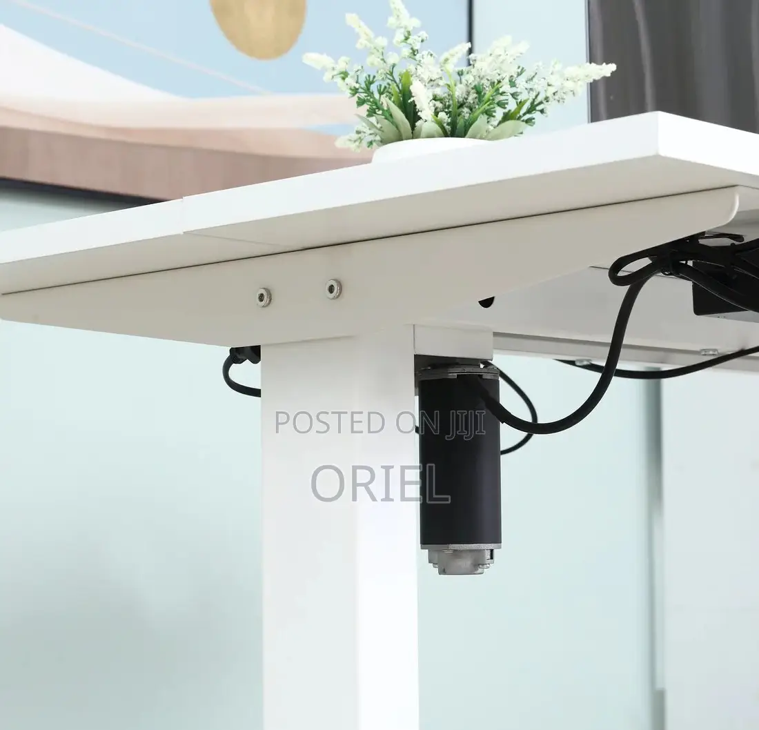 Office Desk :White 120cm Electric Height Adjustable Sit-Stand Desk