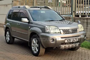 Nissan X-Trail 2.0 2006 Gray