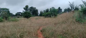 Fertile 2 Acres Agricultural Land Available for Lease, 5 Years