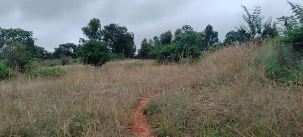 Fertile 2 Acres Agricultural Land Available for Lease, 5 Years