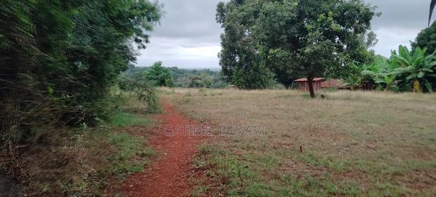 Fertile 2 Acres Agricultural Land Available for Lease, 5 Years - thumbnail 2