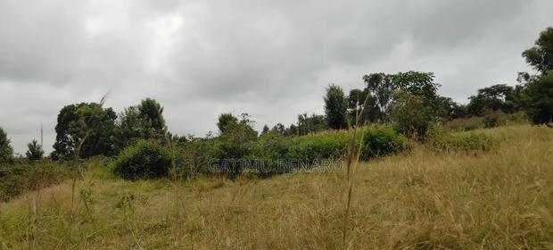 Fertile 2 Acres Agricultural Land Available for Lease, 5 Years - thumbnail 3