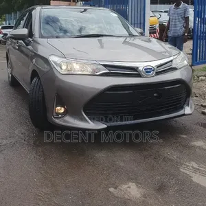Toyota Axio 2020 Brown