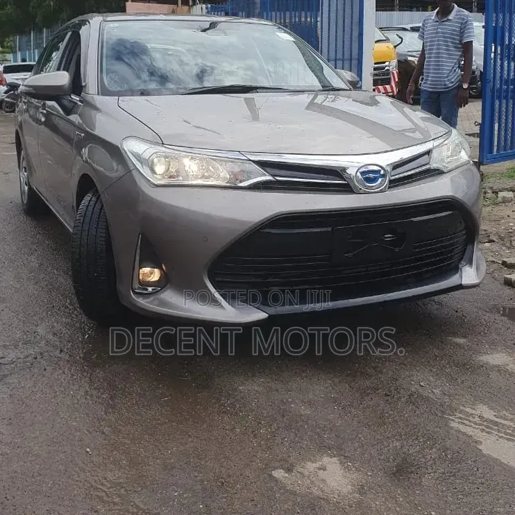 Toyota Axio 2020 Brown