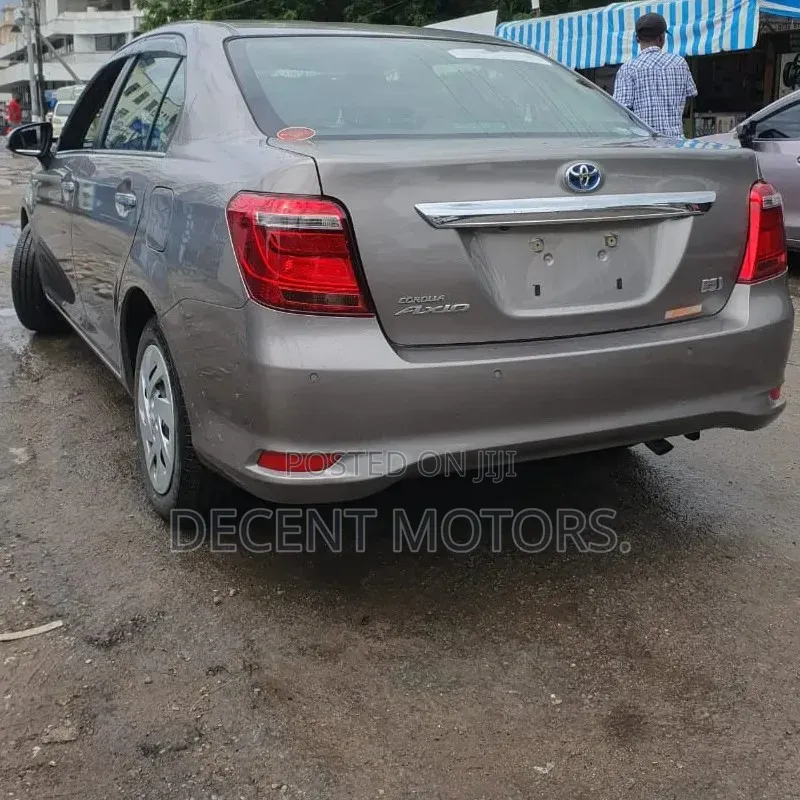 Toyota Axio 2020 Brown