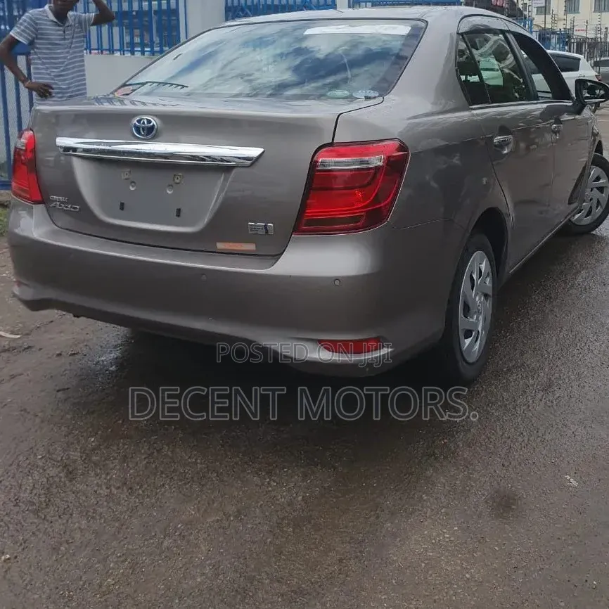 Toyota Axio 2020 Brown