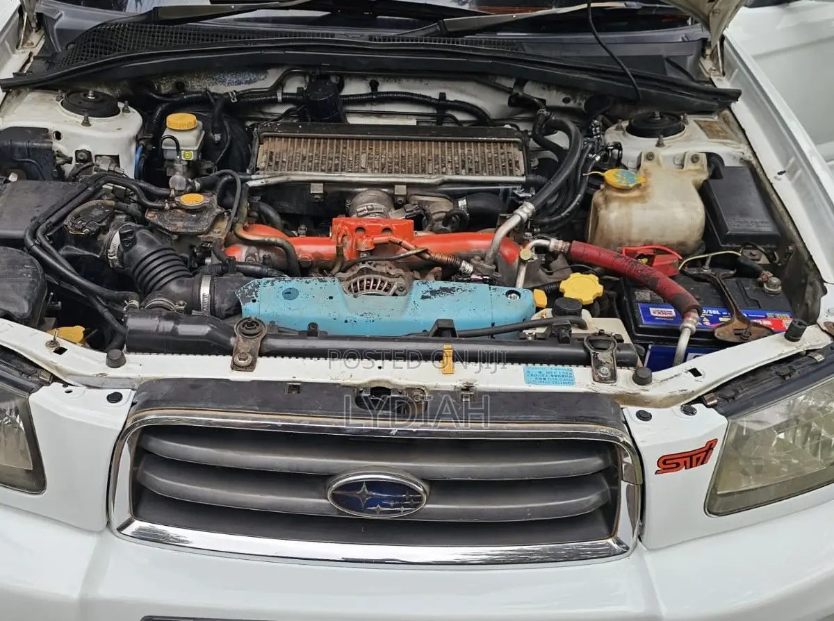 Subaru Forester 2005 White