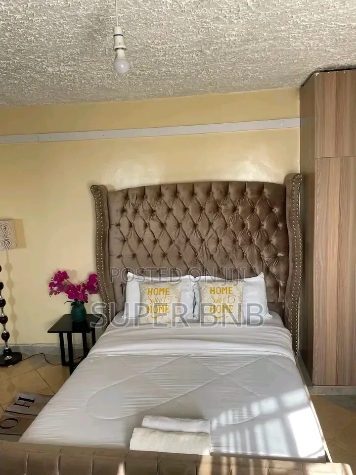 Studio Airbnb Ruiru Kamakis 
Rates: 1500 Day Rest