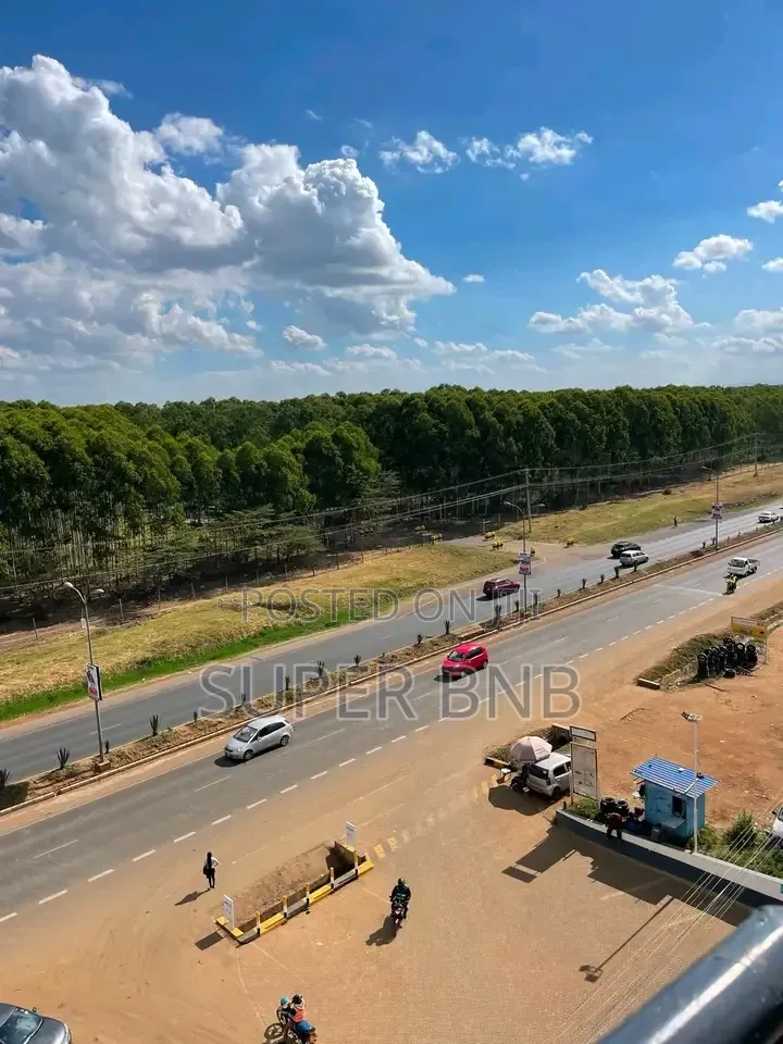 Studio Airbnb Ruiru Kamakis 
Rates: 1500 Day Rest