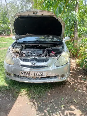 Toyota Caldina 2003 Silver