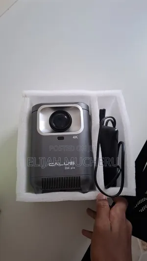 Projector Entertainment