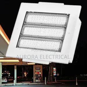 Canopy Light