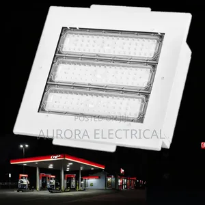 Canopy Light