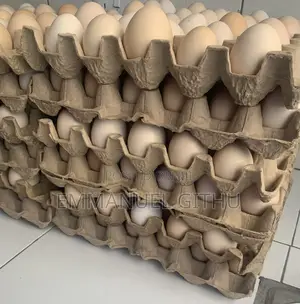 Kienyeij Eggs