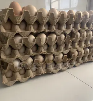 Kienyeij Eggs
