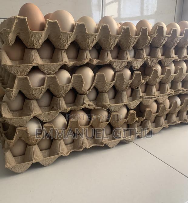 Kienyeij Eggs - thumbnail 4