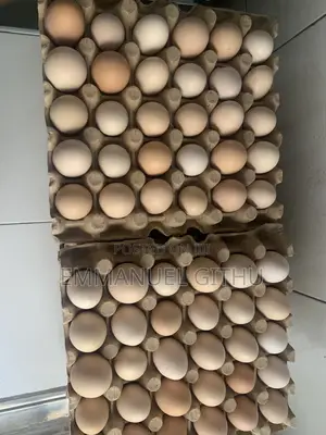 Kienyeij Eggs