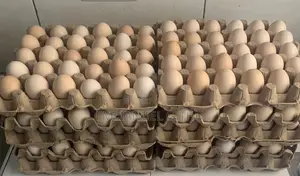 Kienyeij Eggs