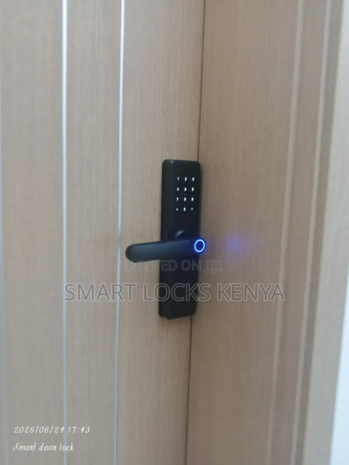 Smart Biometric Smart Lock Tuya Wifi App Fingerprint
