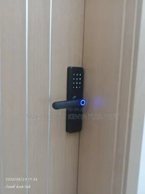 Smart Biometric Smart Lock Tuya Wifi App Fingerprint