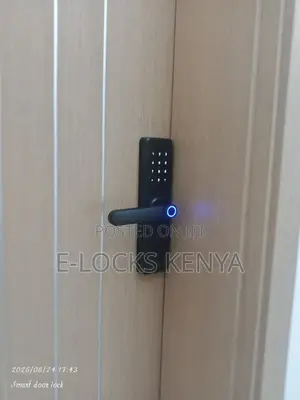Smart Biometric Smart Lock Tuya Wifi App Fingerprint