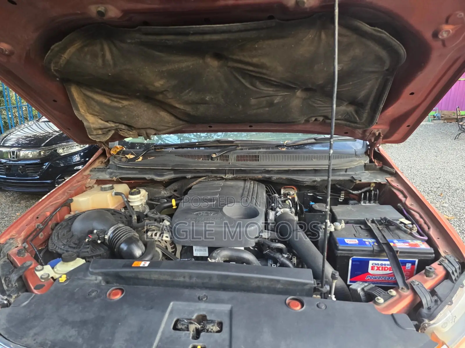 Ford Ranger Wildtrak 2014 Orange